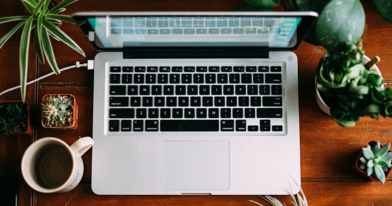 An open laptop sitting on a table with plants and a cup of coffee